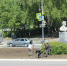 Городу - цвести! - Тавдинский городской округ