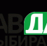 Стартовала народная премия «Тавда выбирает» - Тавдинский городской округ