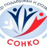 Поддержка социально ориентированных некоммерческих организаций в Свердловской области на 2018 — 2024 годы - Тавдинский городской округ