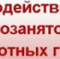 Популярные вопросы по самозанятости - Тавдинский городской округ