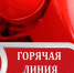 В Свердловской области работает горячая линия по вопросам голосования по поправкам в Конституцию - Тавдинский городской округ
