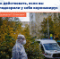 Вы заподозрили у себя коронавирус, но не знаете, стоит ли обращаться за медицинской помощью. А если обращаться, то куда – в скорую или поликлинику? - Тавдинский городской округ
