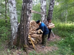 Субботник