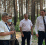 В округе продолжаются работы по реализации приоритетного проекта «Формирование комфортной городской среды» - Тавдинский городской округ