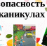 Безопасные  каникулы - Тавдинский городской округ