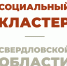 К уникальному проекту «Социальный кластер» присоединились почти 250 волонтёров - Тавдинский городской округ