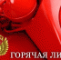 Прокуратурой организована "горячая линия" по вопросам соблюдения прав инвалидов - ТАВДИНКА.РФ