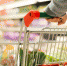Торговые сети смогут ограничивать продажу продуктов в одни руки из-за спекулянтов - ТАВДИНКА.РФ