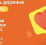 О фестивале дарения #МЫВМЕСТЕ - Тавдинский городской округ