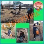 СУББОТНИК. КАРАБАШКА