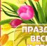 Мир Труд! Май! - Тавдинский городской округ