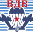 С Денем Воздушно-десантных войск! - Тавдинский городской округ