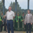 Продолжаем добрую традицию, устраивать концерт во дворе дома - Тавдинский городской округ