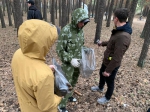 Проводим субботник