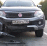 Водитель автомашины допустил наезд на косулю - ТАВДИНКА.РФ