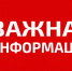 Избирателю о предвыборной агитации на территории Тавдинского городского округа - Тавдинский городской округ
