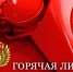 В Тавдинской прокуратуре организована "горячая линия" по вопросам защиты прав несовершеннолетних - ТАВДИНКА.РФ