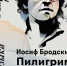 ПОГРУЗИТЕСЬ В ПОЭТИЧЕСКИЙ «КОСМОС» БРОДСКОГО ПОД РИТМЫ ДЖАЗА И ЭМБИЕНТА - Управление культуры, молодежной политики и спорта