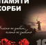 Уважаемые жители Свердловской области! Дорогие ветераны! - Тавдинский городской округ