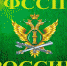 Памятка по приостановлению исполнительных производств в отношении военнослужащих и граждан, принимающих участие в специальной военной операции, а также членов их семей - Тавдинский городской округ