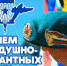 Дорогие Тавдинцы! Уважаемые военнослужащие  и ветераны Воздушно-десантных войск! Примите поздравления по случаю празднования дня ВДВ! - Тавдинский городской округ