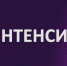 СОФПП приглашает самозанятых граждан региона принять участие в онлайн-интенсиве (воркшопе) на тему: «Основы фотографии. Создание продающего контента» - Тавдинский городской округ