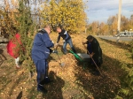 Участвуем в субботнике