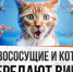 Мифы о ВИЧ - ТАВДИНКА.РФ
