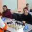 Юная тавдиночка стала бронзовым призером Чемпионата области по классическим шахматам - ТАВДИНКА.РФ
