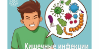 Кишечник и иммунитет - ТАВДИНКА.РФ