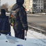 Цветы для автоледи - ТАВДИНКА.РФ