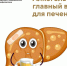 Алкоголь – главный враг печени - ТАВДИНКА.РФ