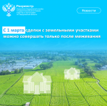 С 1 марта сделки с земельными участками можно совершать только после межевания