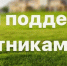 Меры поддержки в сфере занятости населения  для участников СВО и членов их семей - Тавдинский городской округ