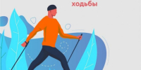 В чем секрет популярной скандинавской ходьбы? - ТАВДИНКА.РФ