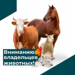 Важное напоминание для владельцев сельскохозяйственных животных!