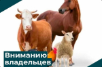 Важное напоминание для владельцев сельскохозяйственных животных!