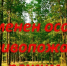 Информируем об отмене особого противопожарного режима - Тавдинский городской округ