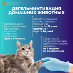 Дегельминтизация домашних животных