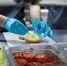 Качество и безопасность продукции предприятий общественного питания, в том числе блюд "нетрадиционной кухни" - Тавдинский городской округ