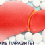 Как паразиты повреждают печень? - ТАВДИНКА.РФ