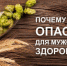 Почему пиво опасно для мужского здоровья? - ТАВДИНКА.РФ