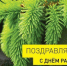 Уважаемые работники лесного комплекса и ветераны лесной отрасли! - Городская Дума