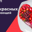 ПОЛЬЗА КРАСНЫХ ФРУКТОВ И ОВОЩЕЙ - Управление культуры, молодежной политики и спорта