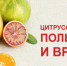 Цитрусовые: польза и вред - ТАВДИНКА.РФ