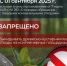 С 1 сентября 2025 года запрещено выкидывать древесно-кустарниковые отходы на контейнерных площадках - Тавдинский городской округ