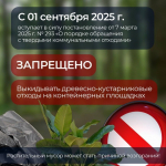 С 1 сентября 2025 года запрещено выкидывать древесно-кустарниковые отходы на контейнерных площадках