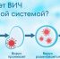 Что делает ВИЧ с иммунной системой? - ТАВДИНКА.РФ
