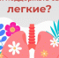 Как поддержать свои легкие? - ТАВДИНКА.РФ