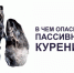 В чем опасность пассивного курения? - ТАВДИНКА.РФ